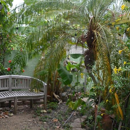 Palmetto Guesthouse Isla Culebra Buitenkant foto