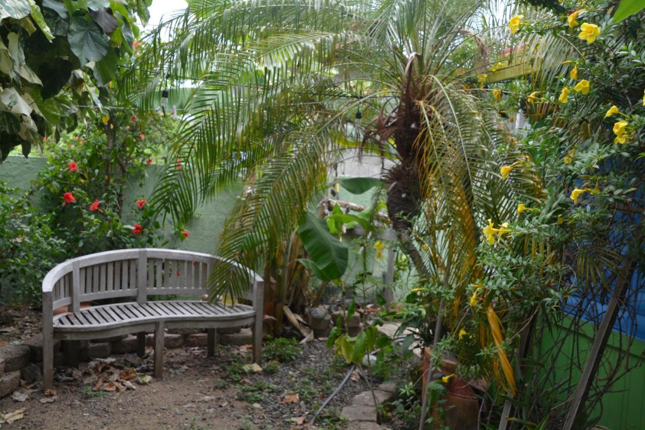 Palmetto Guesthouse Isla Culebra Buitenkant foto